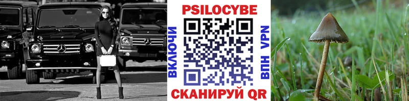 Купить  Козловка  Псилоцибиновые грибы мицелий 
